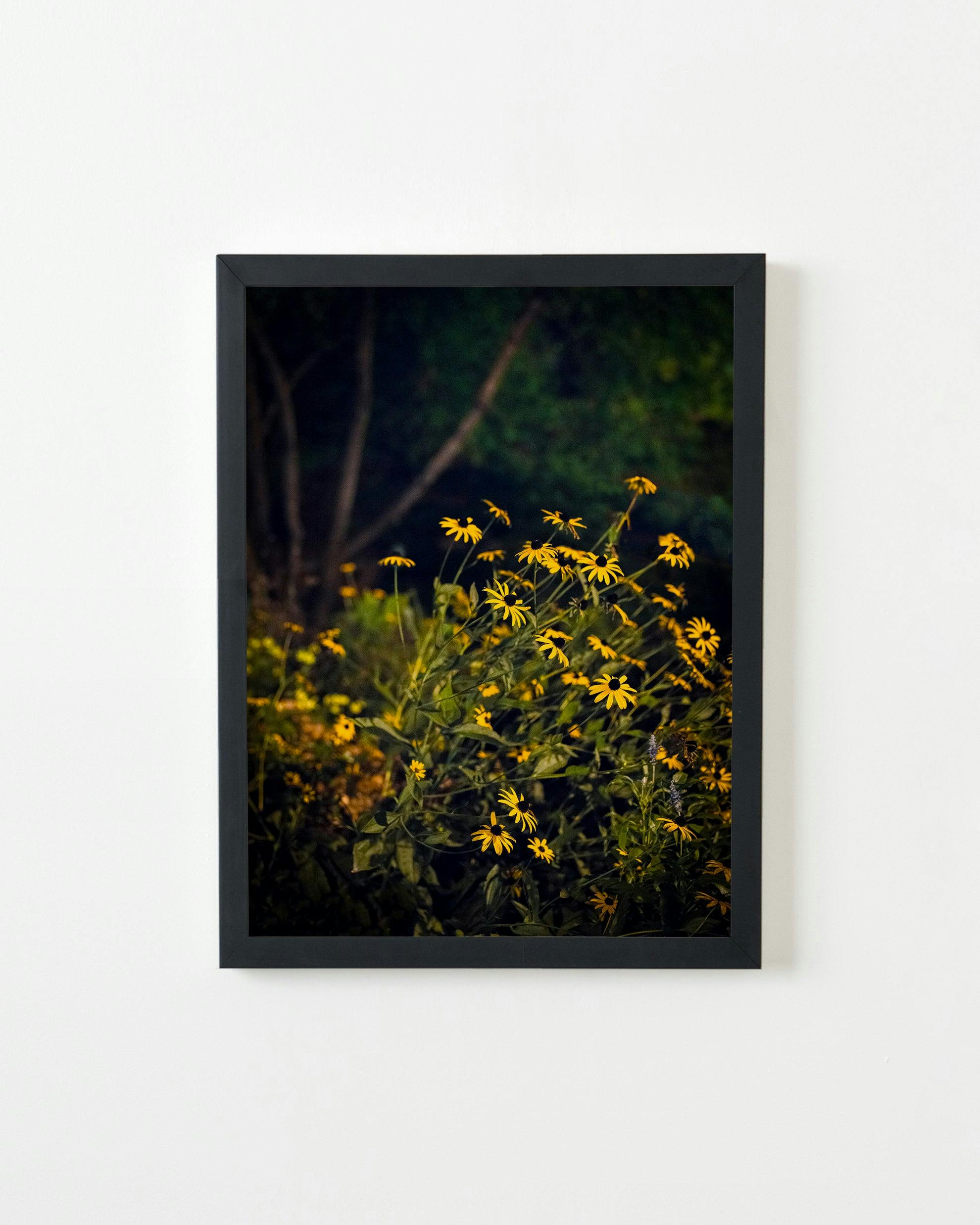 Photography by Anna Beeke titled "Midnight in the Garden #46".