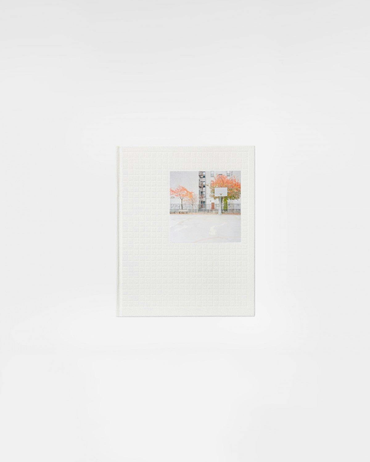 Artist Book by Ward Roberts titled "courts 02".