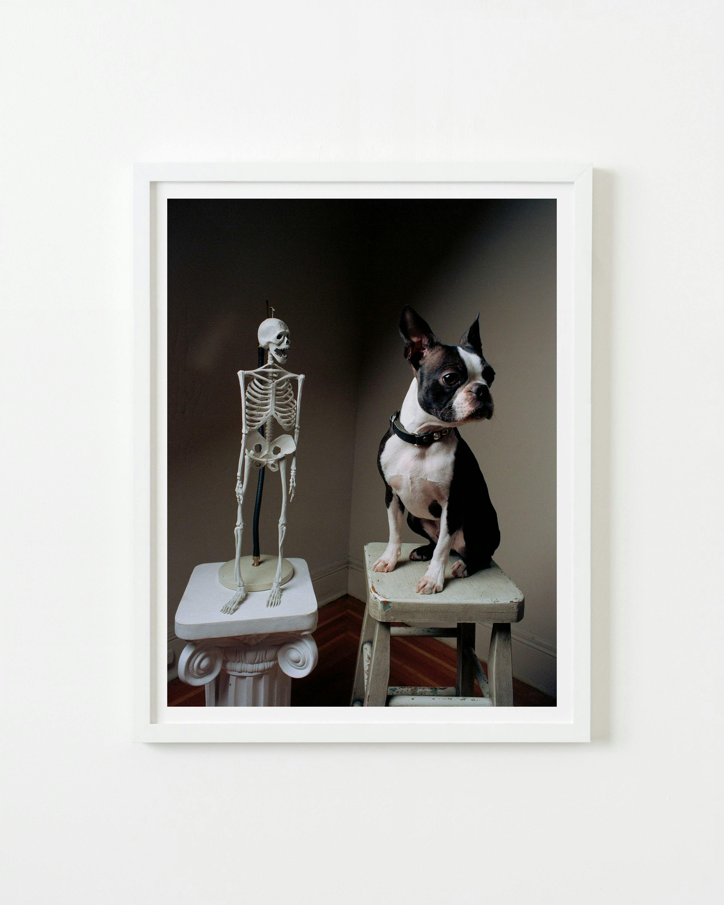 Photography by Michael Northrup titled "Sid with Skeleton".