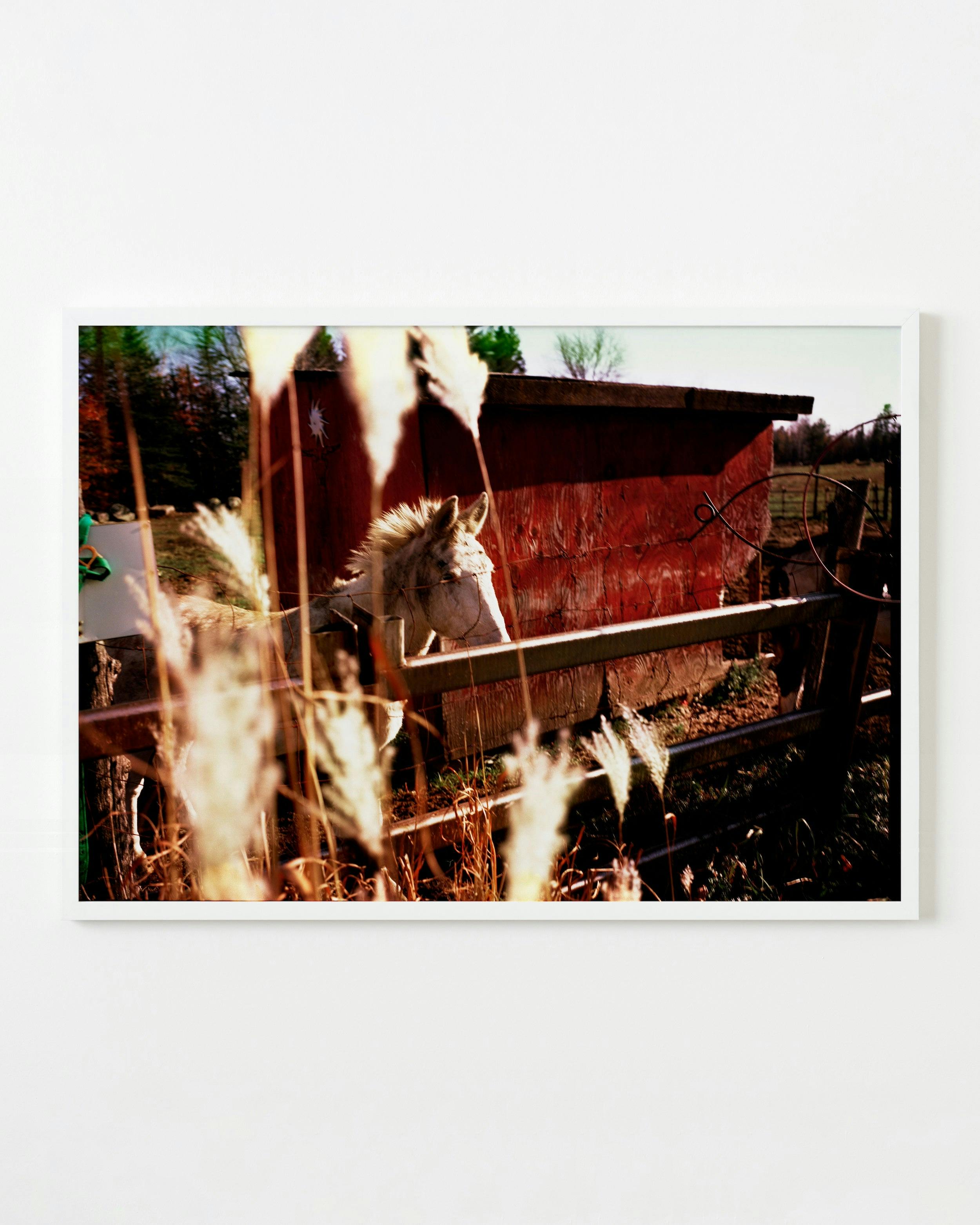Photography by Anna Moller titled "Red Barn".