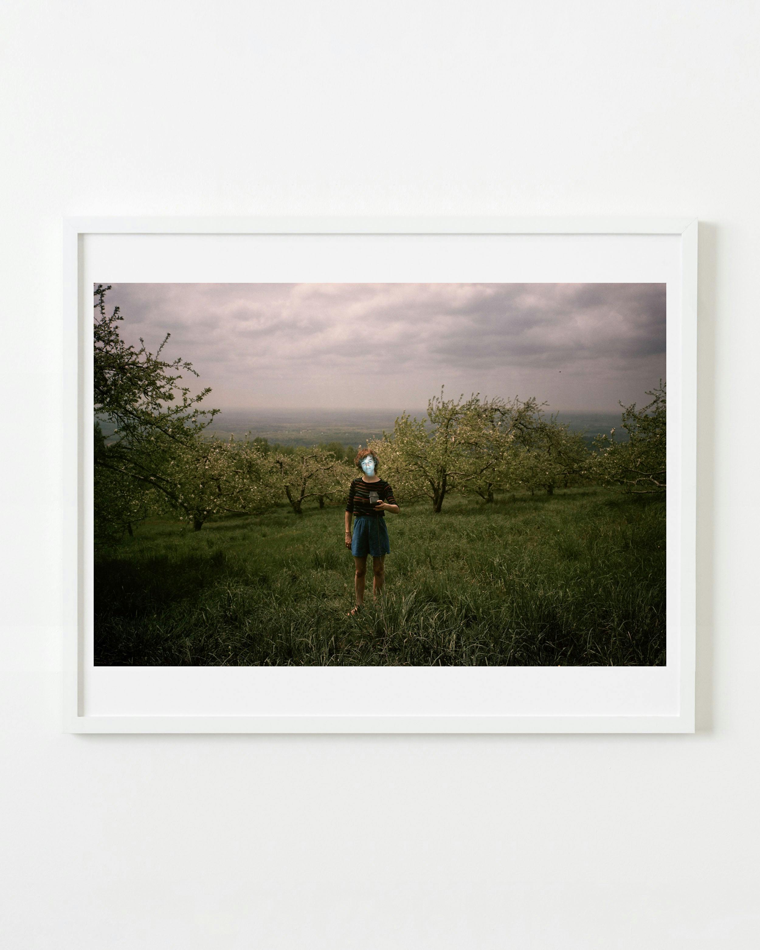 Photography by Michael Northrup titled "Orchard Glow".