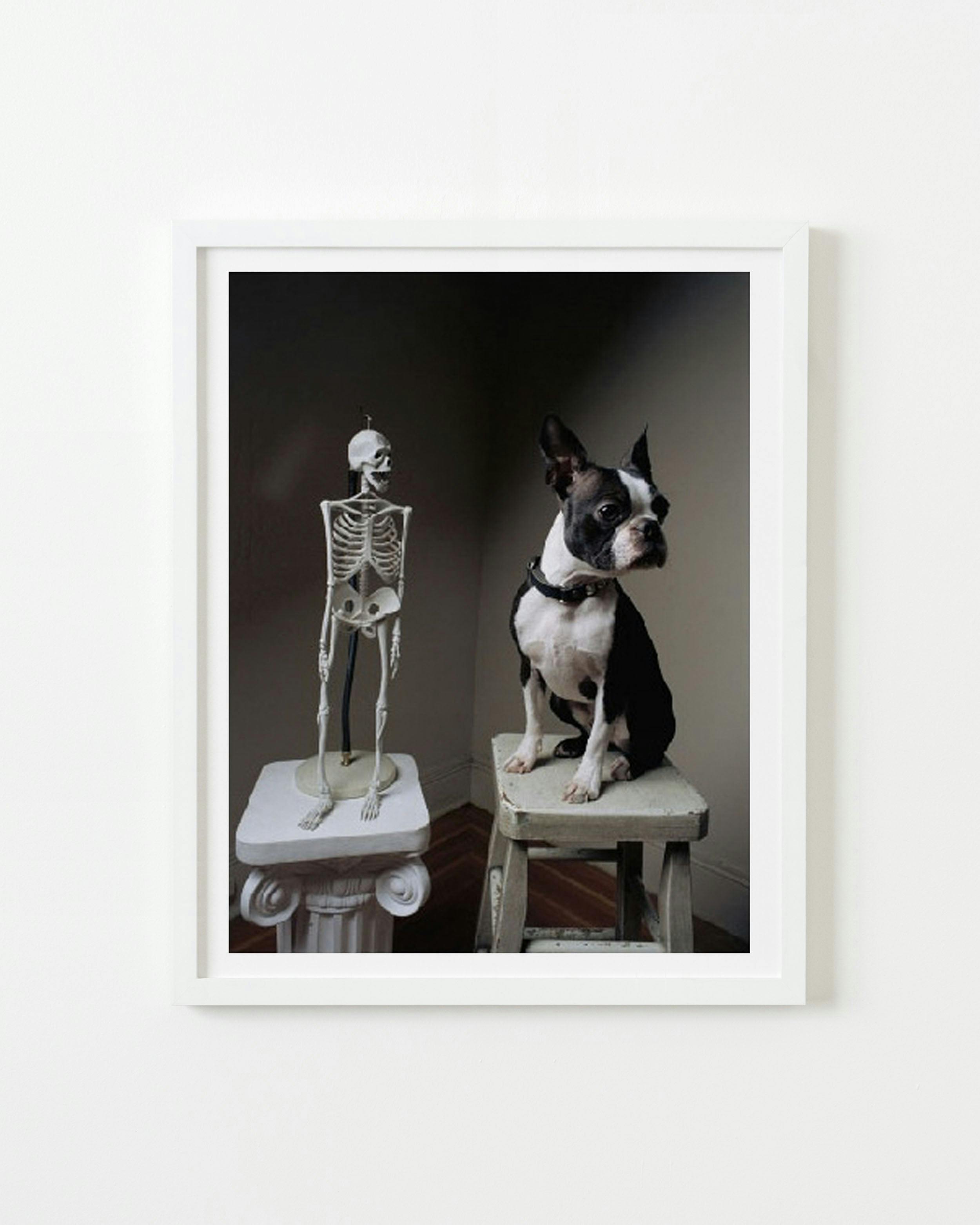 Photography by Michael Northrup titled "Sid with Skeleton".