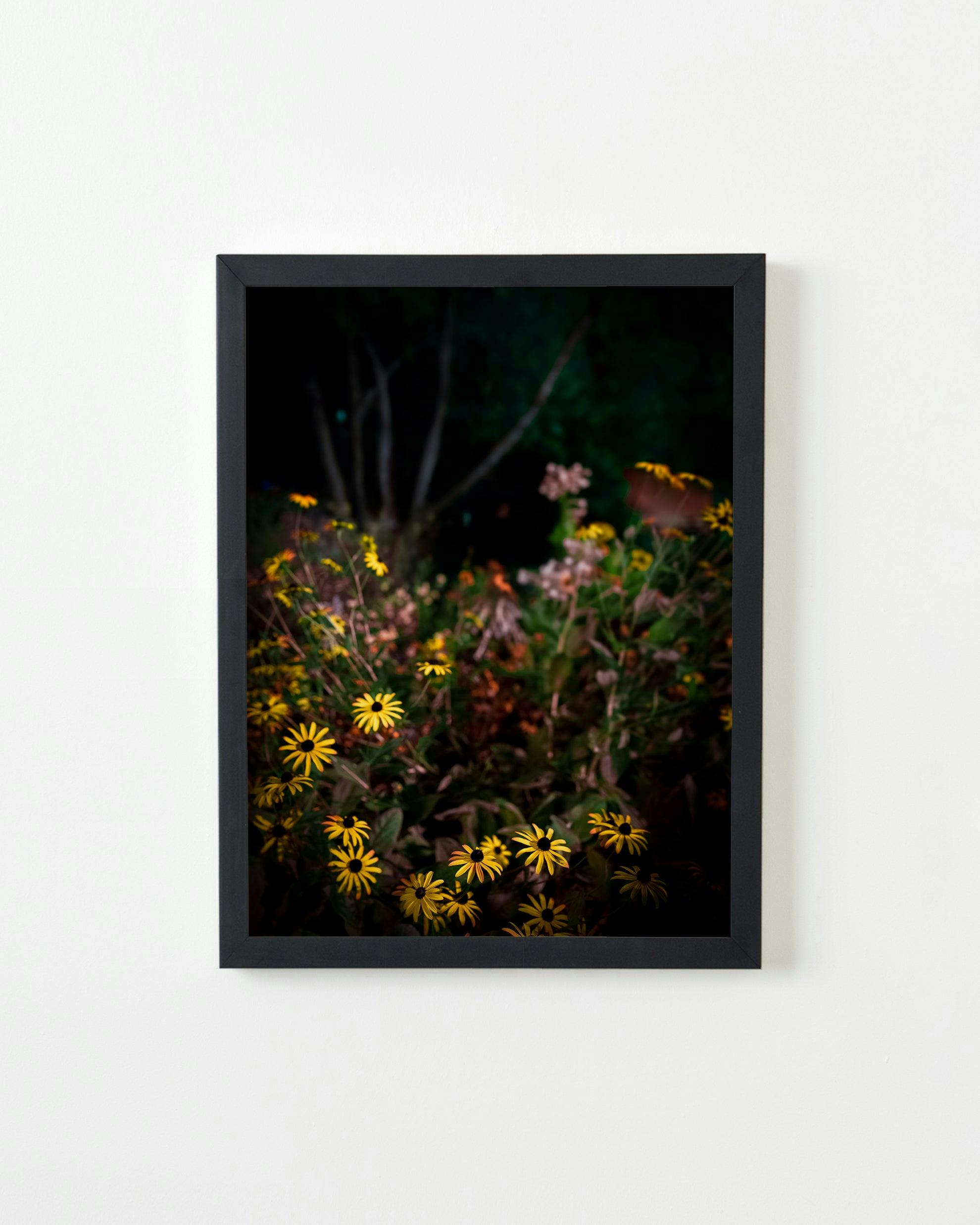 Photography by Anna Beeke titled "Midnight in the Garden #7".