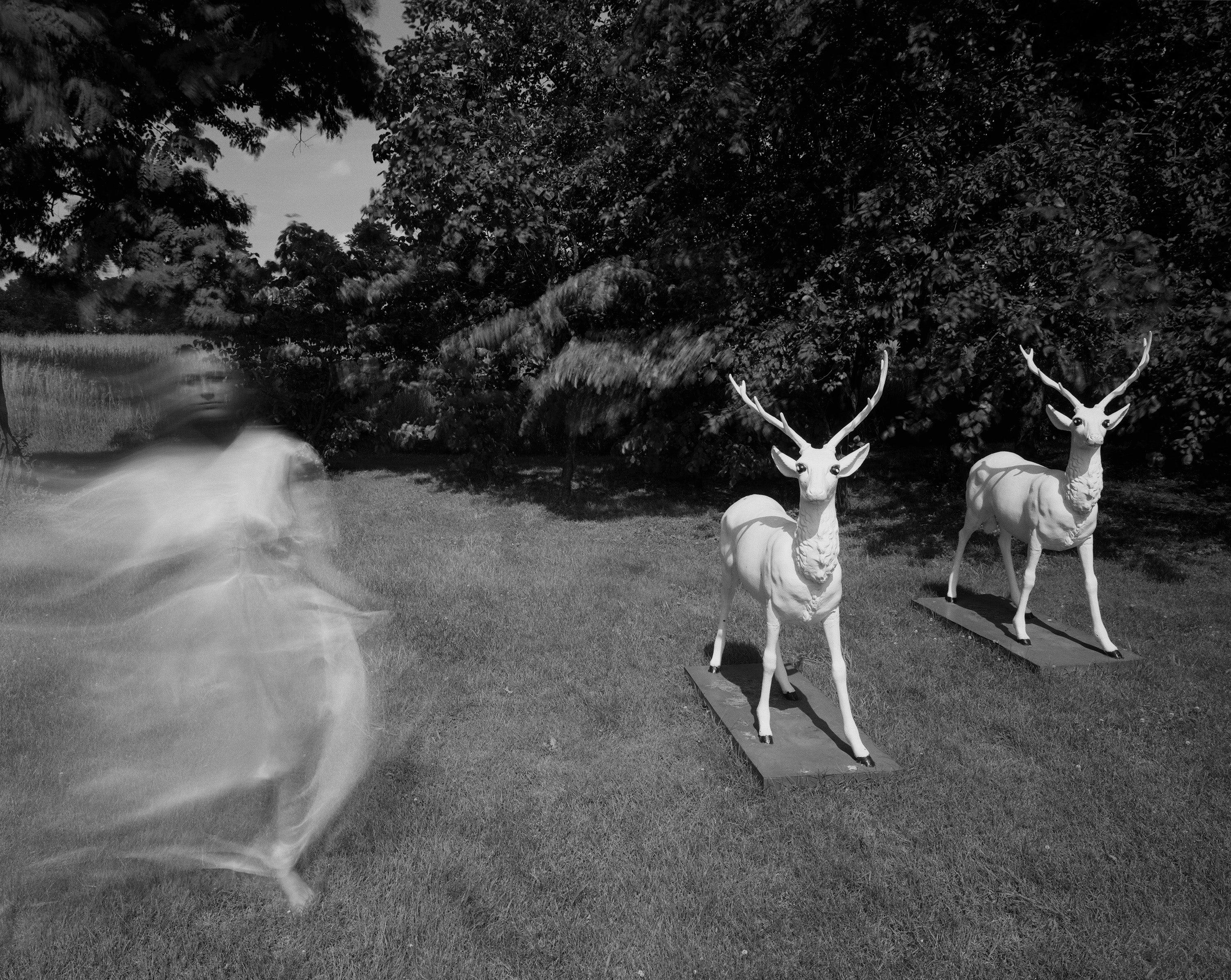 Photography by Michael Northrup titled "Yardeer".
