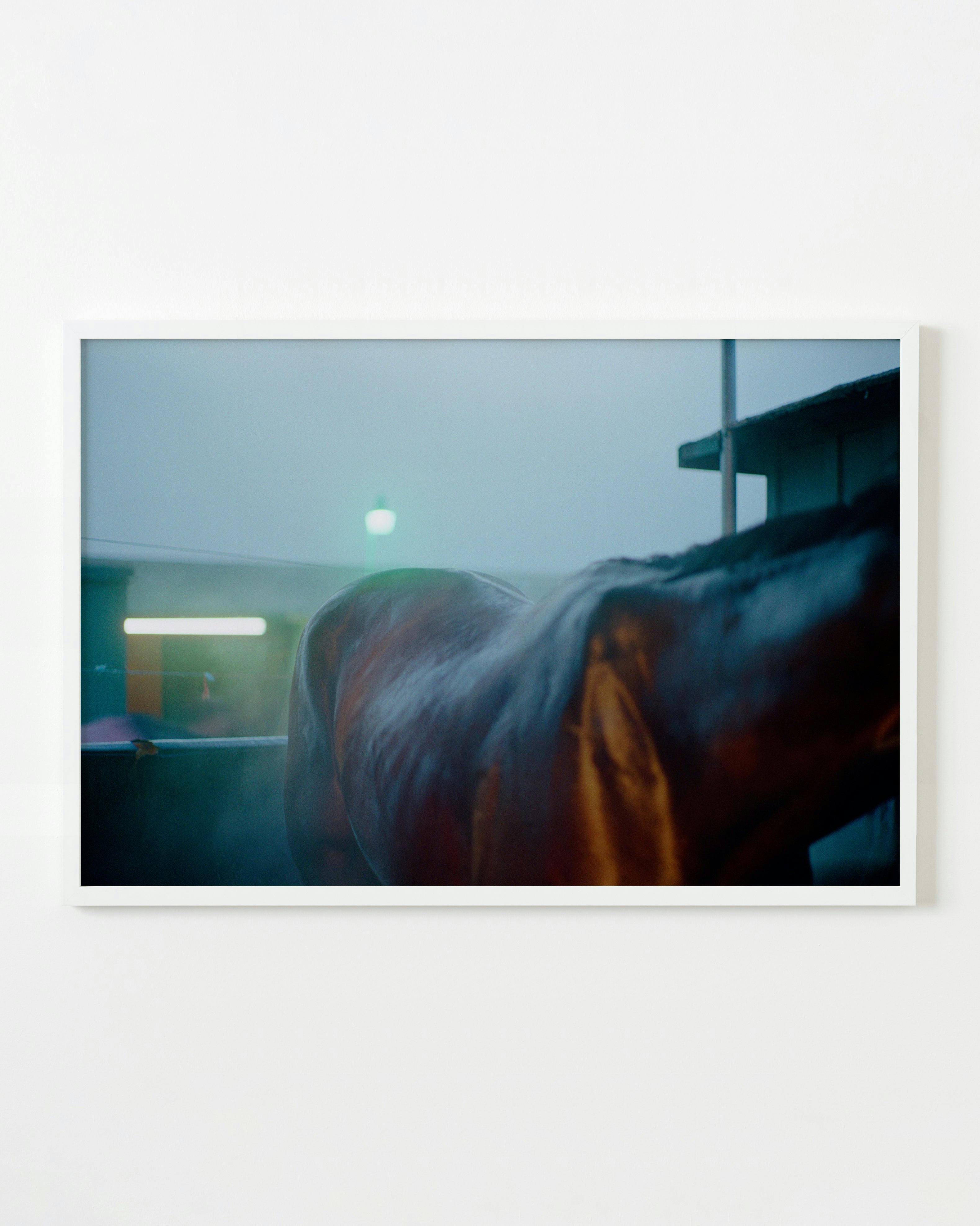 Photography by Jessica Haye & Clark Hsiao titled "Fluorescent Horse".