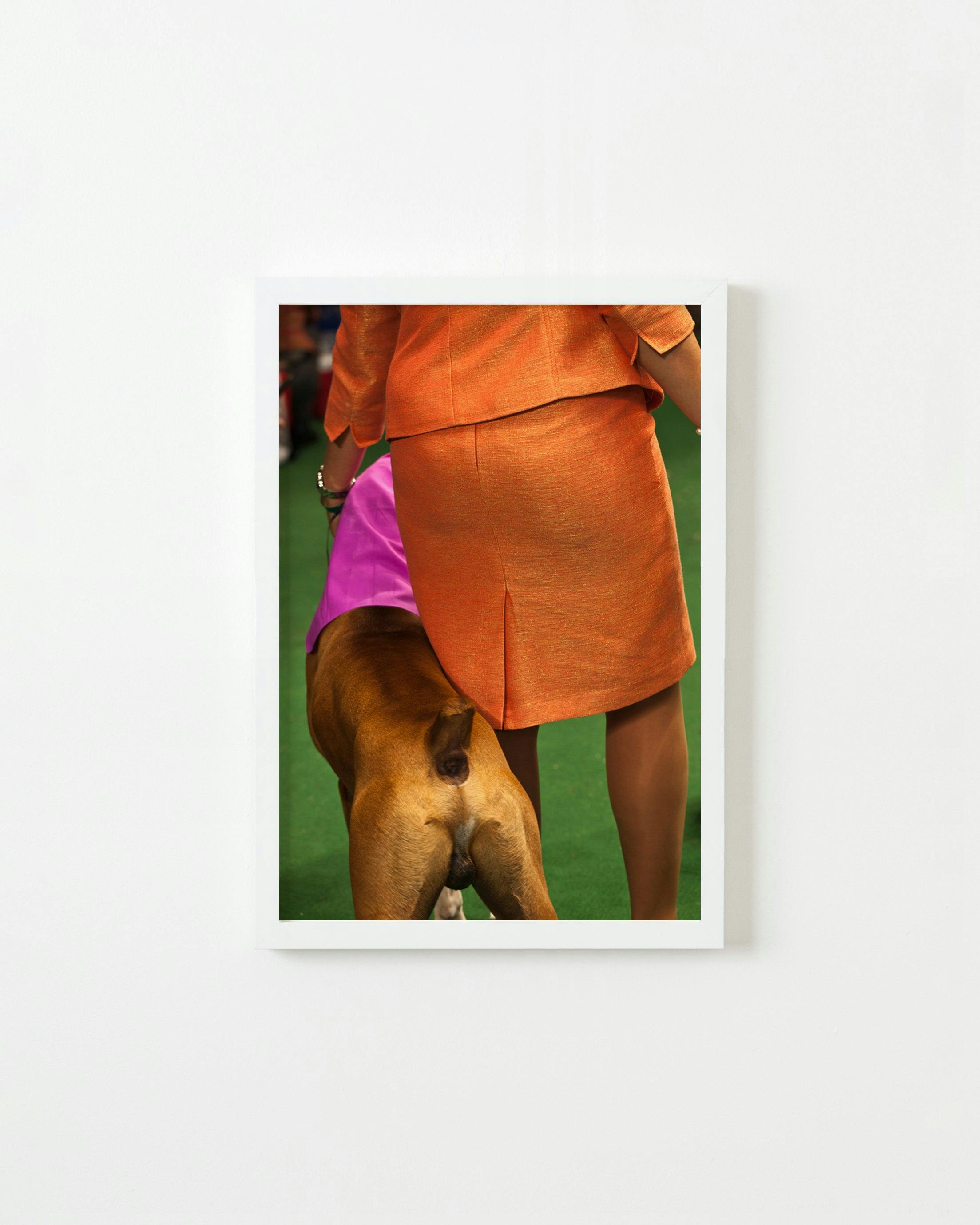 Photography by Dolly Faibyshev titled "Orange Lady and Boxer".