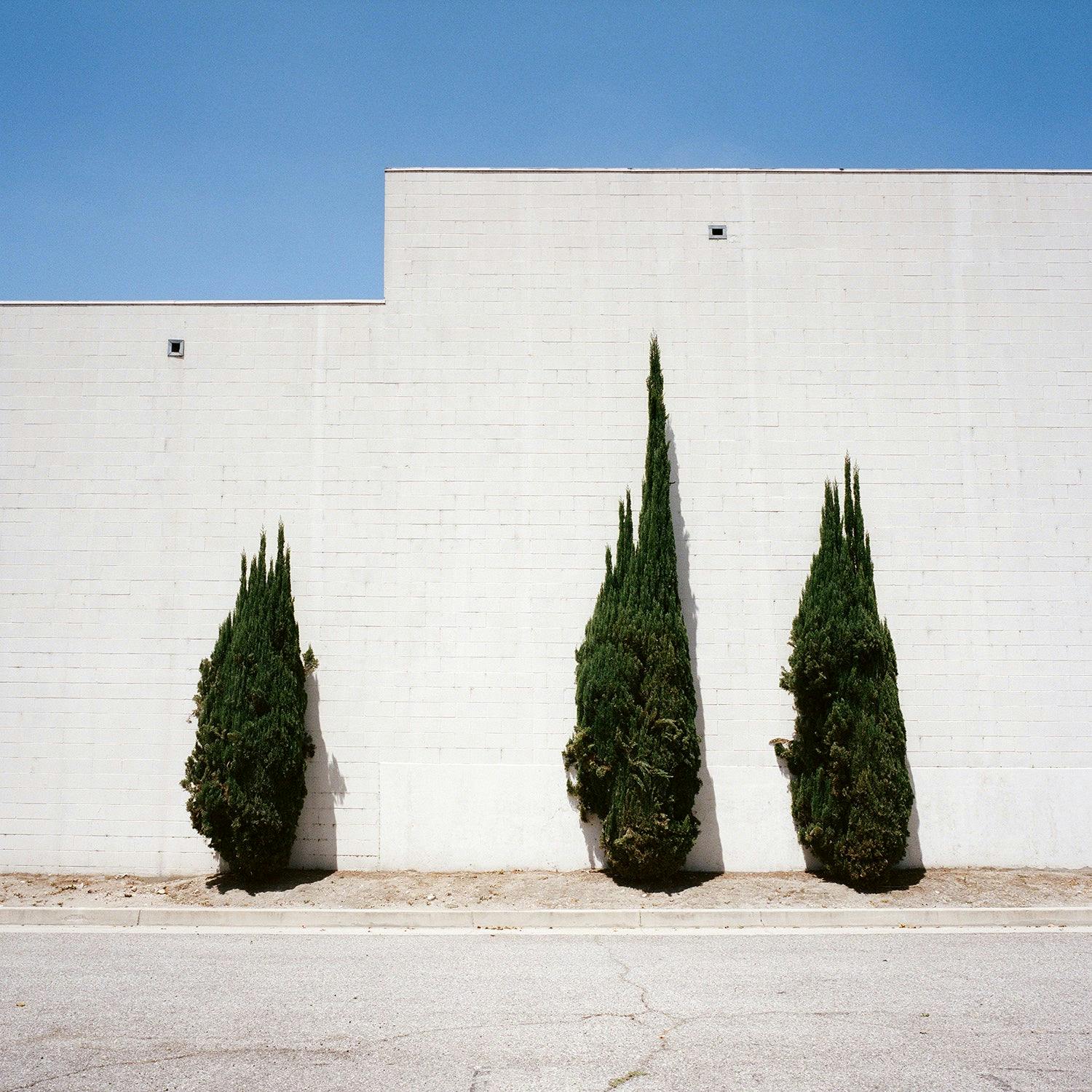 Photography by Sinziana Velicescu titled "El Monte, CA".