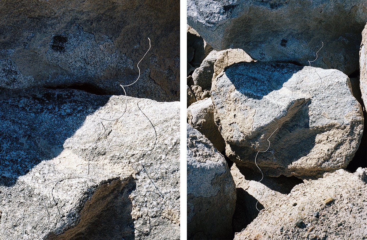 Photography by Ryan James MacFarland titled "Dilemma (Salton Sea)".