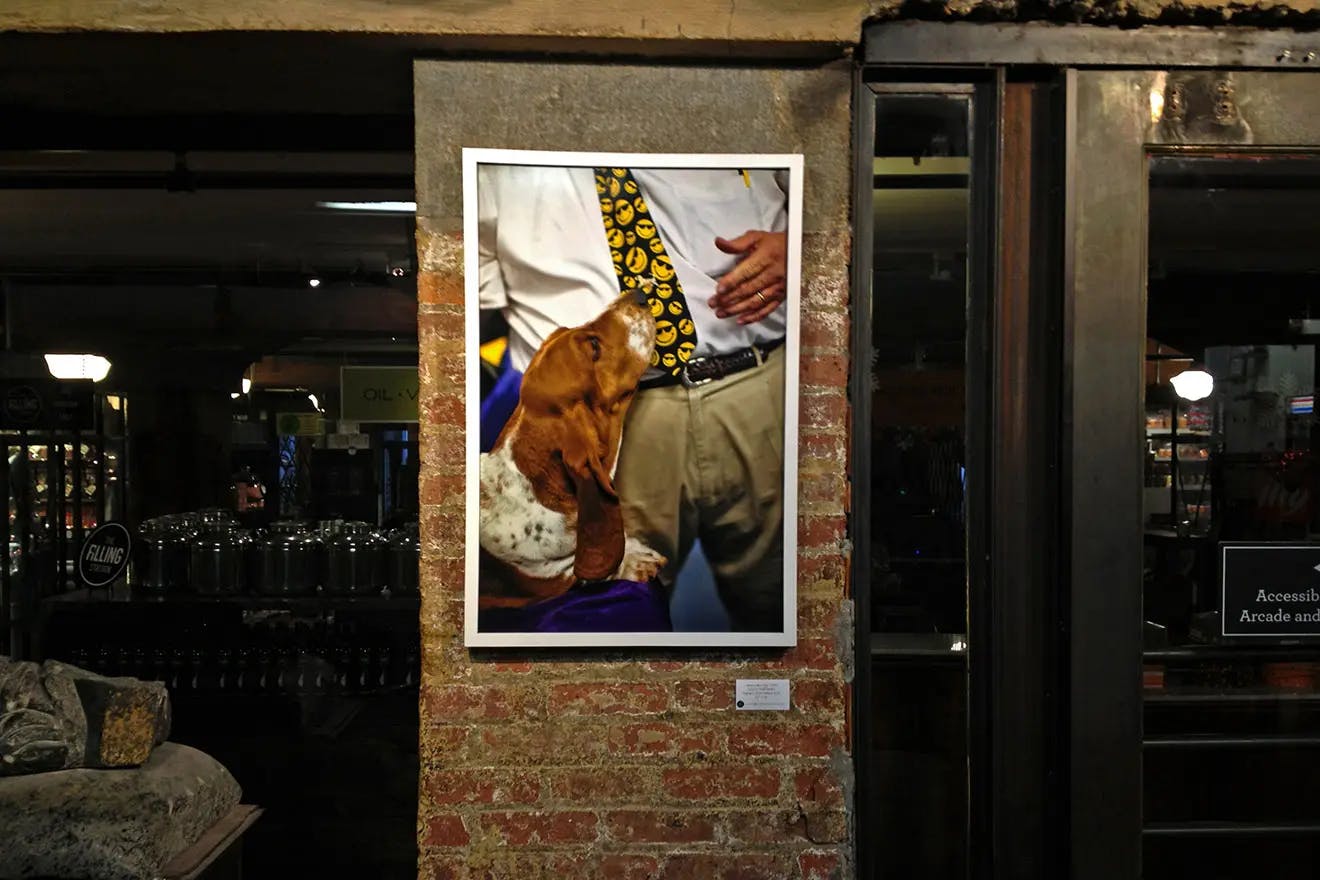 Exhibition: Best in Show at Chelsea Market: Gallery