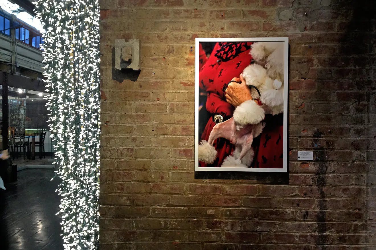 Artwork installed as part of Best in Show at Chelsea Market, one of Uprise Art's Exhibitions in New York, NY.