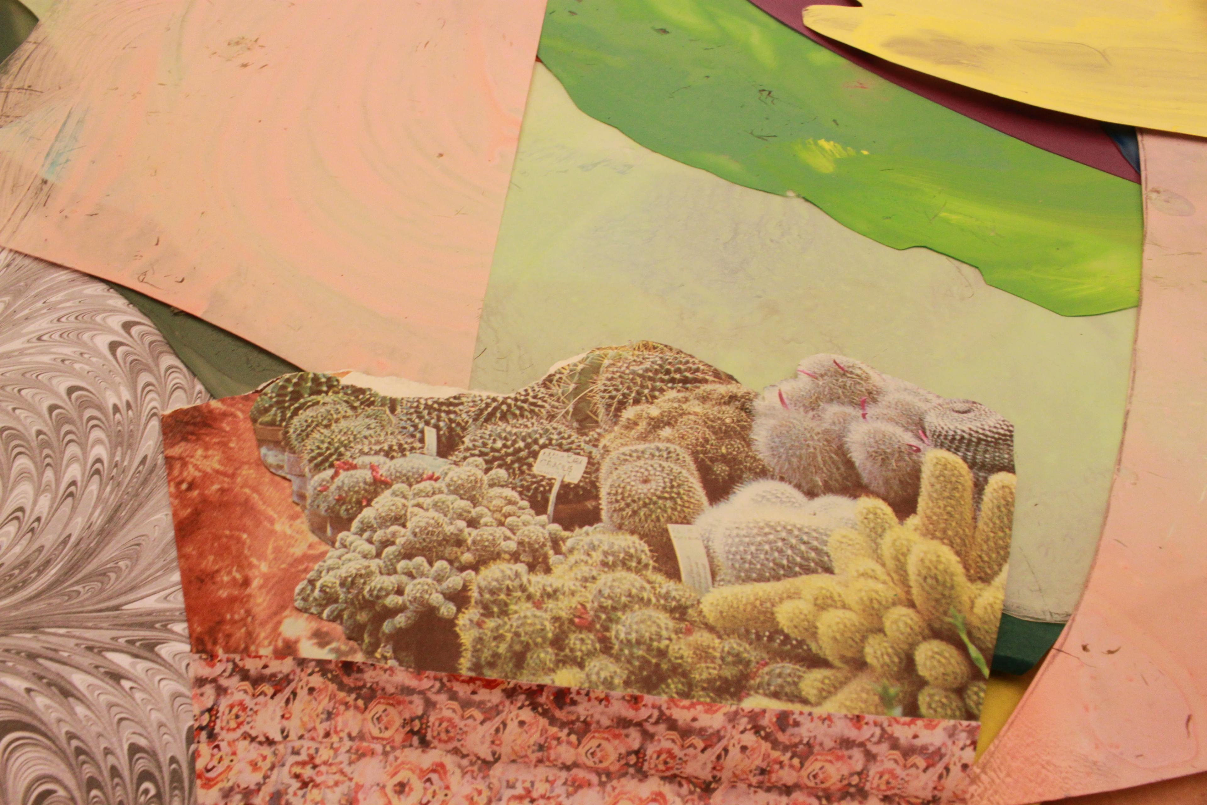 Close-up of a pink collage by artist Xochi Solis with a photograph of cacti and succulents.