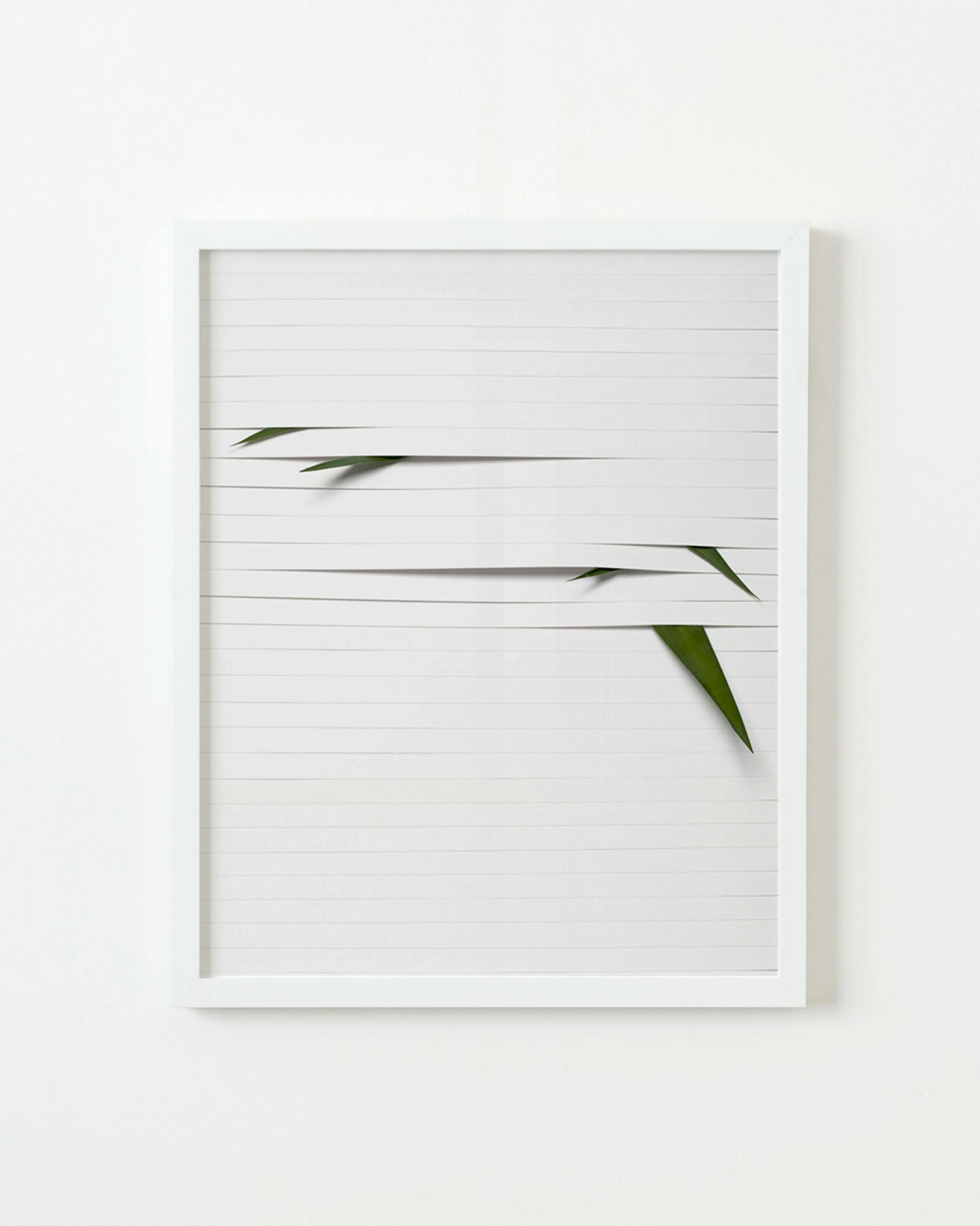 Framed photograph of white blinds with plants peeking out from underneath by artist Martina Lang.