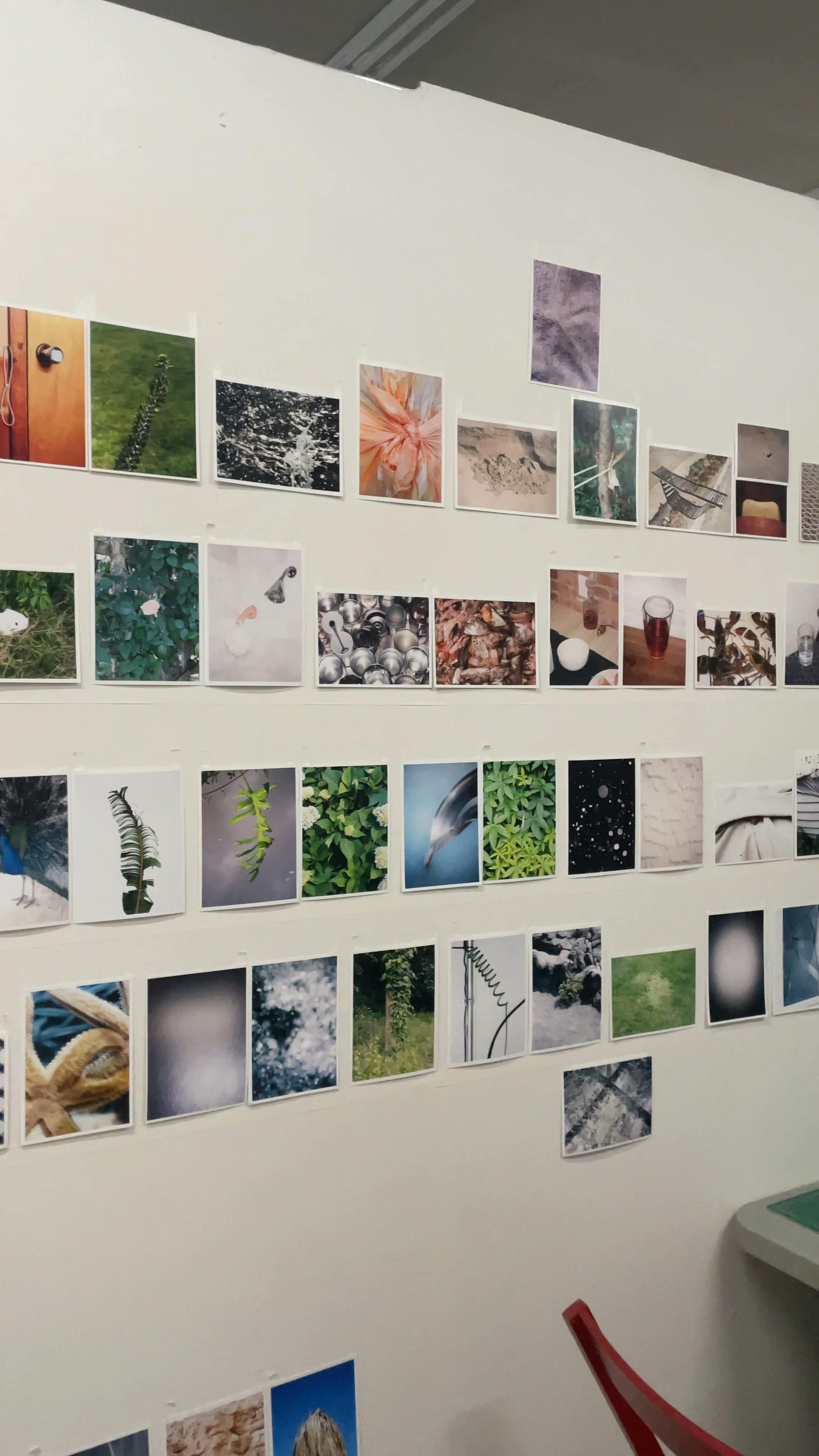 Rows of small photographs by artist Ryan James MacFarland on a white wall in his studio.
