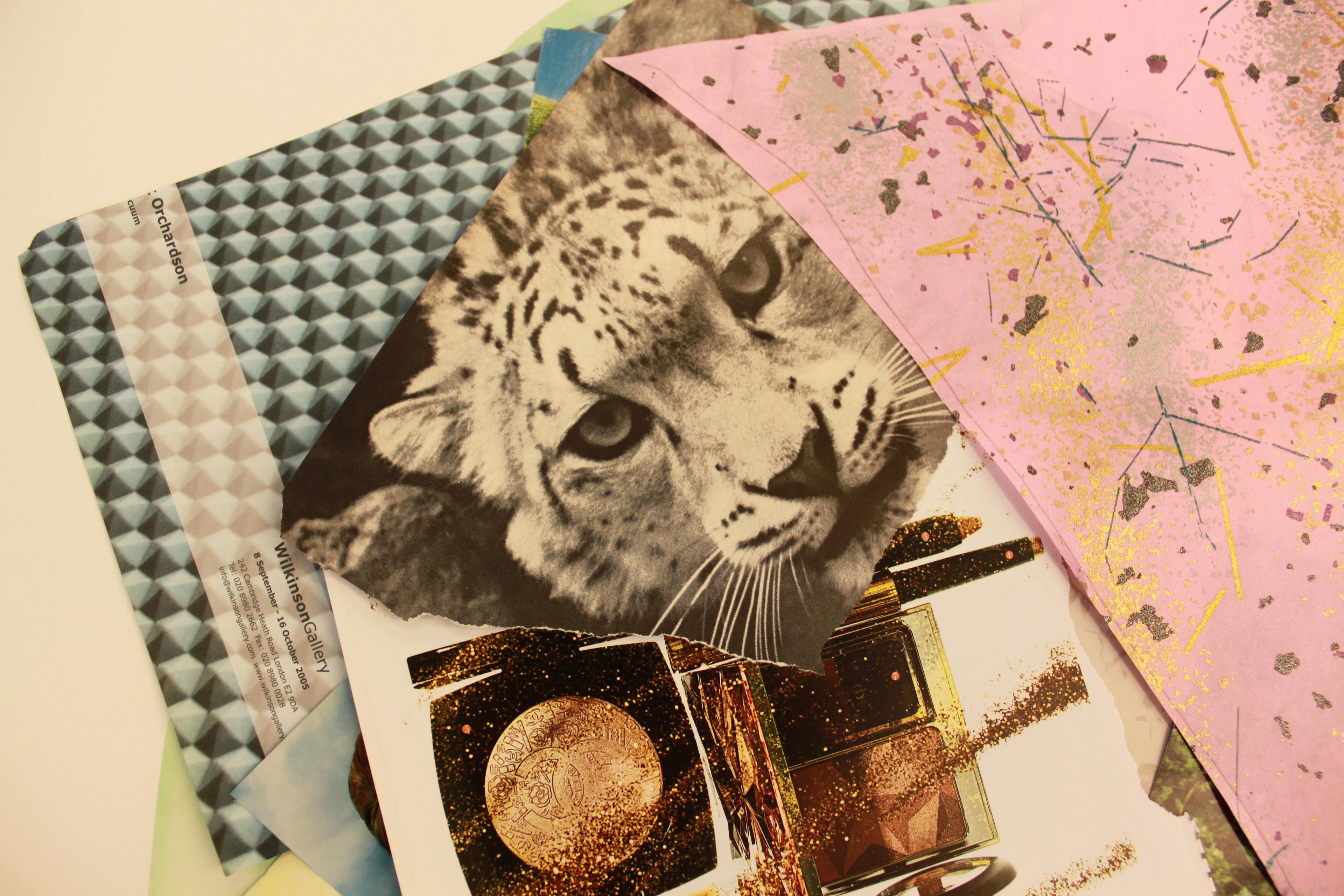 An assortment of collage materials, including a picture of a white bobcait, laid out on a white table.