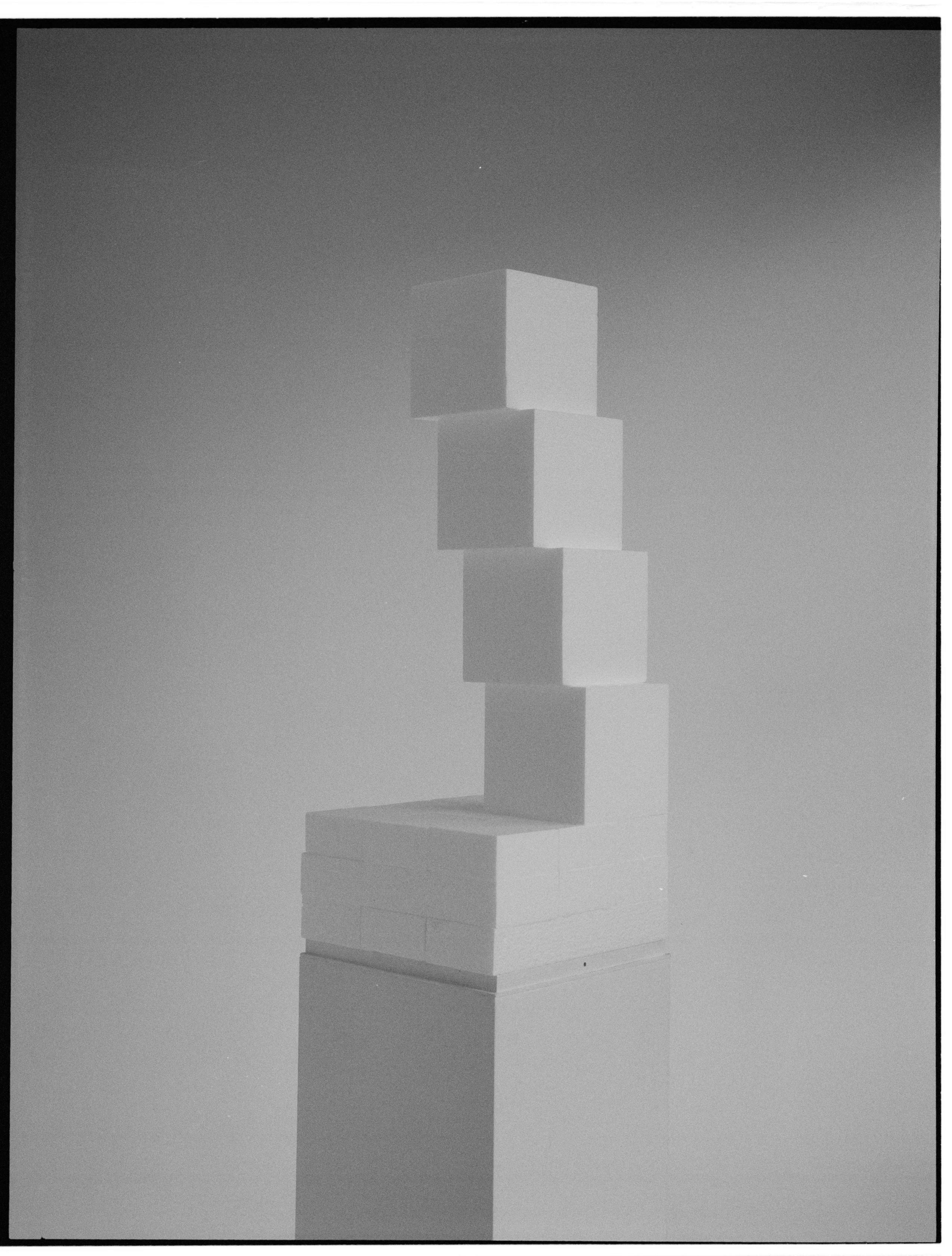 Black and white photograph of a styrofoam sculpture by artist Adam Ryder.