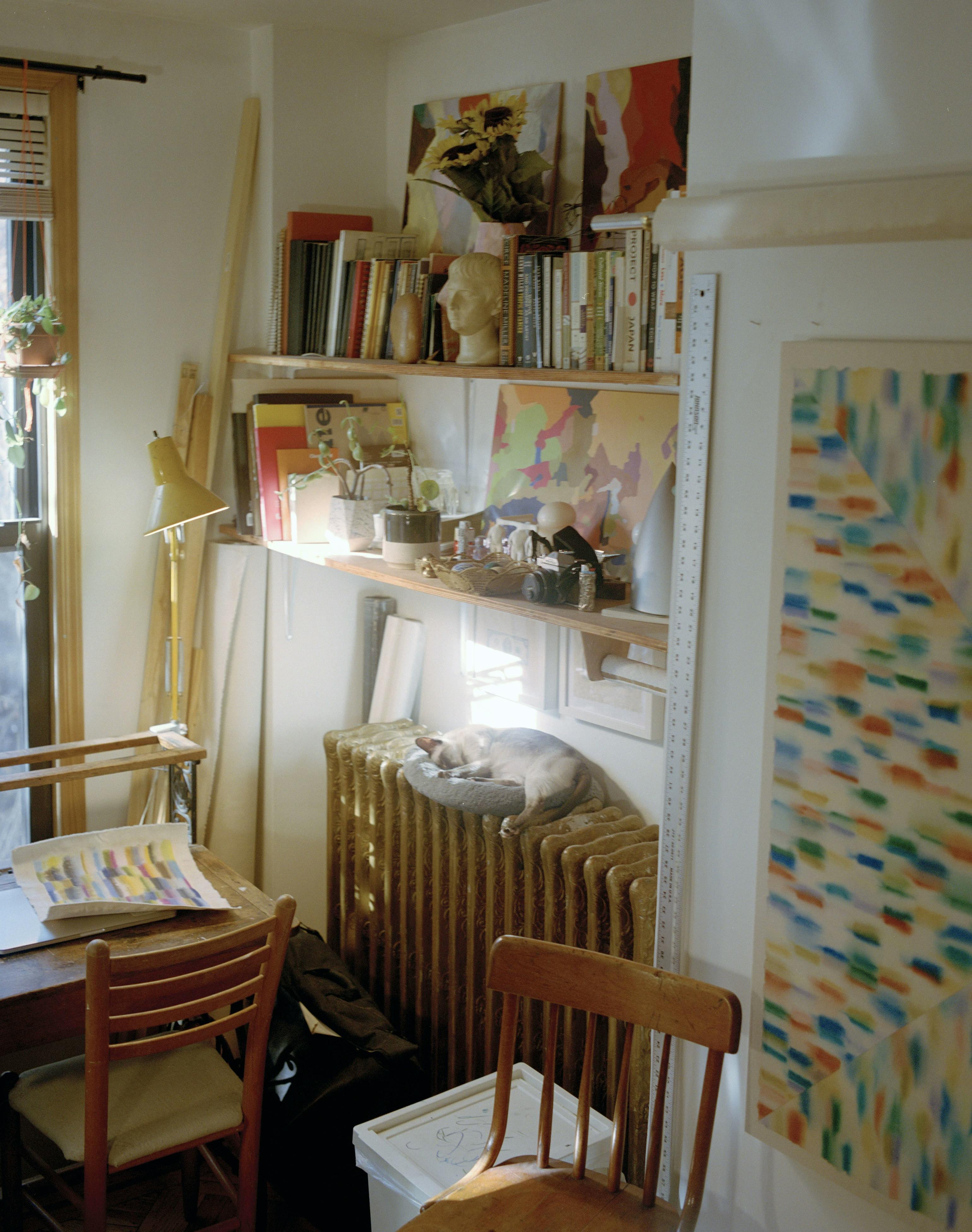 Artist Devon Reina's studio filled with bookshelves and colorful books.