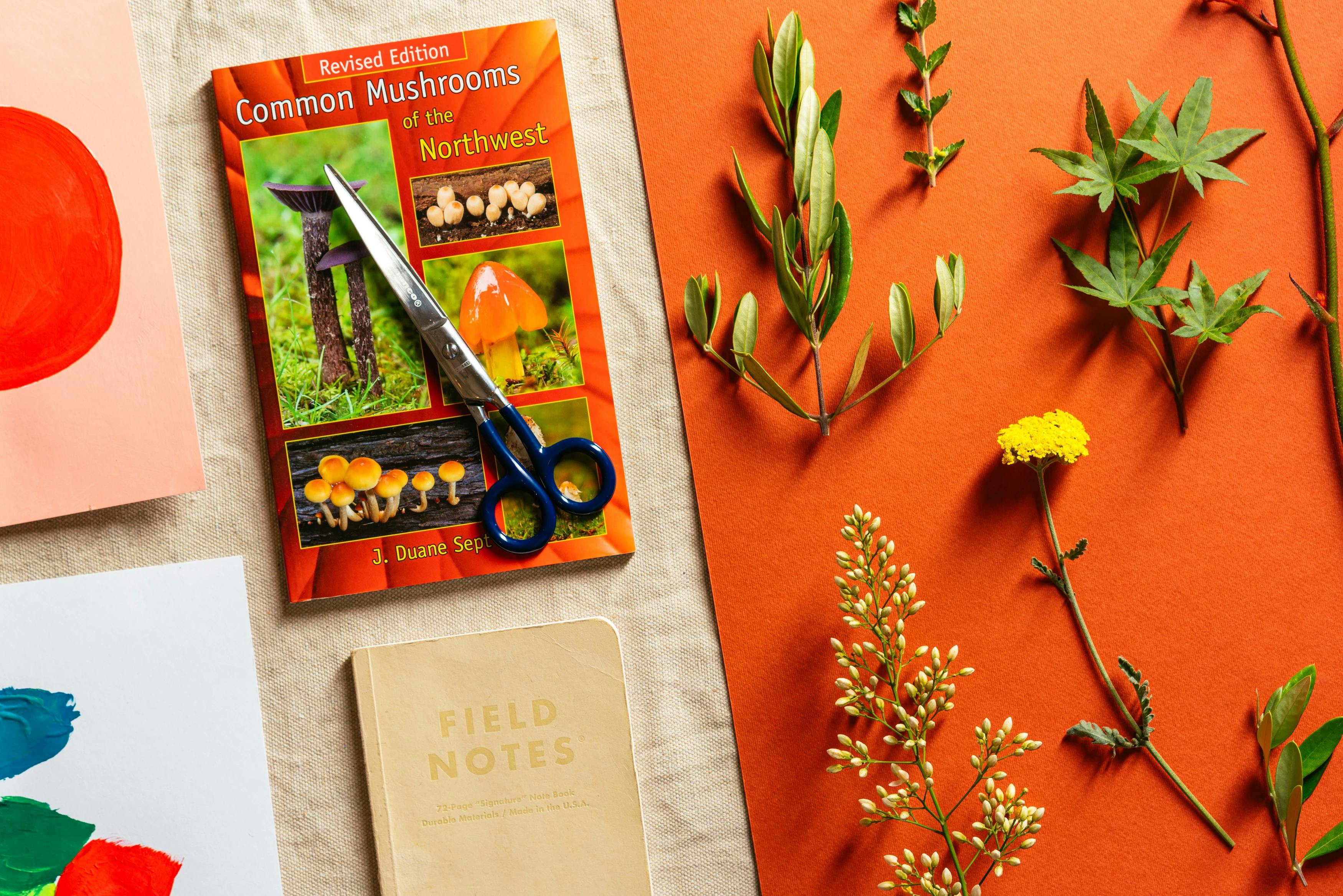 Garden clippings, scissors, and a book about mushrooms on a table in Scott Sueme's studio at MacArthur Place.